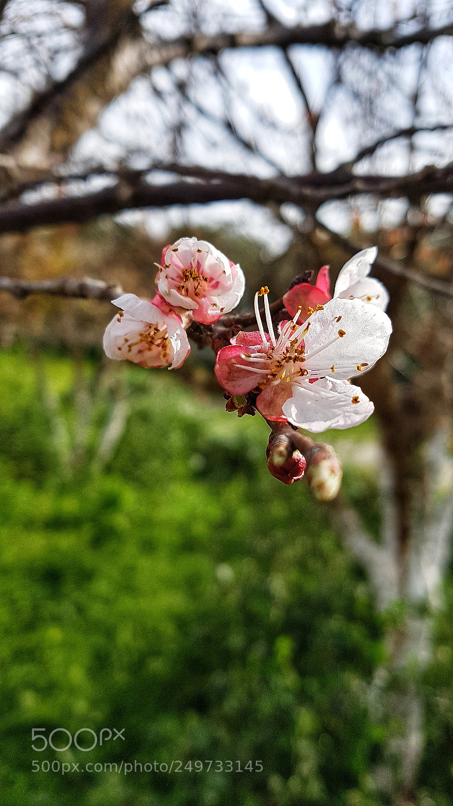 Samsung Galaxy S7 Edge sample photo. Untitled photography