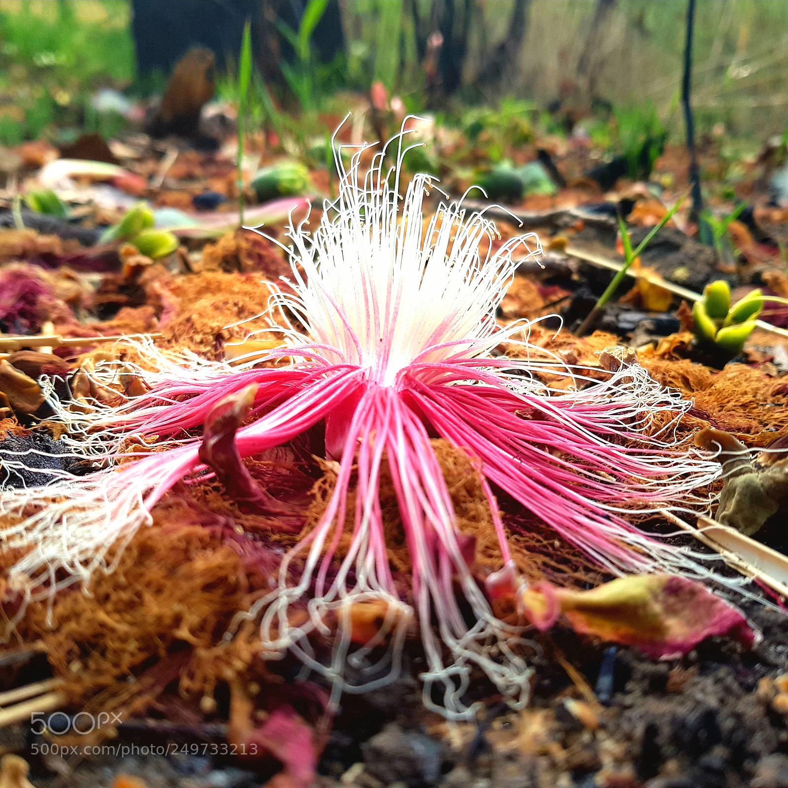 Samsung Galaxy S8 sample photo. Untitled photography