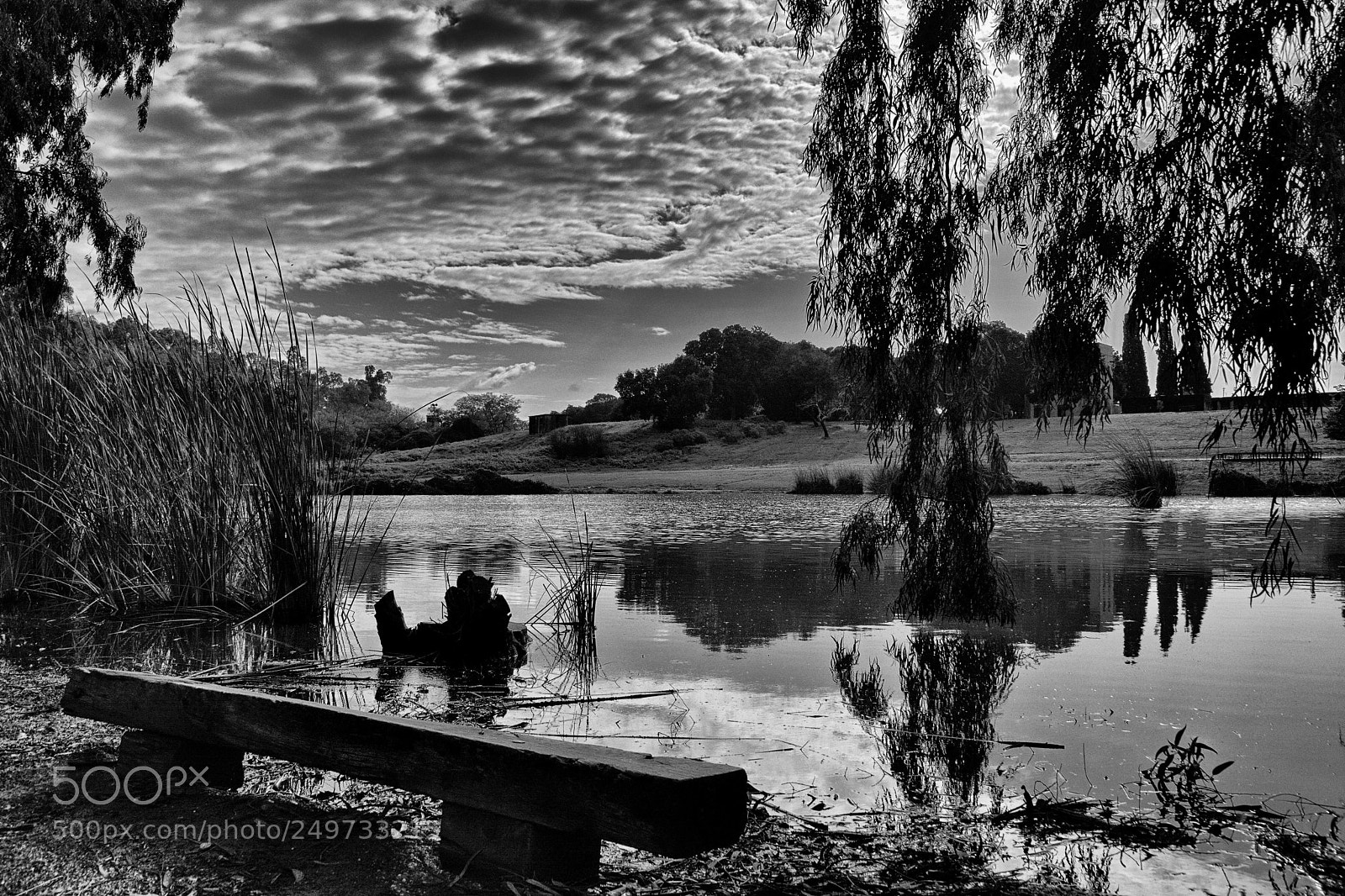 Nikon D7200 sample photo. Bench by a lake photography