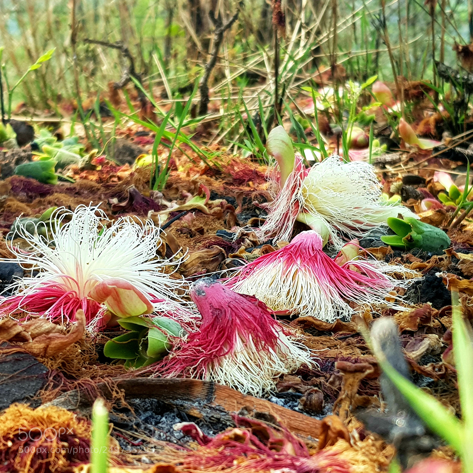Samsung Galaxy S8 sample photo. Untitled photography