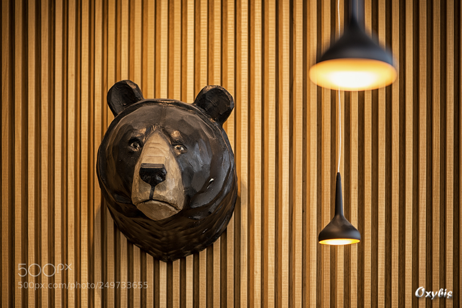 Nikon D800 sample photo. Wild inside photography
