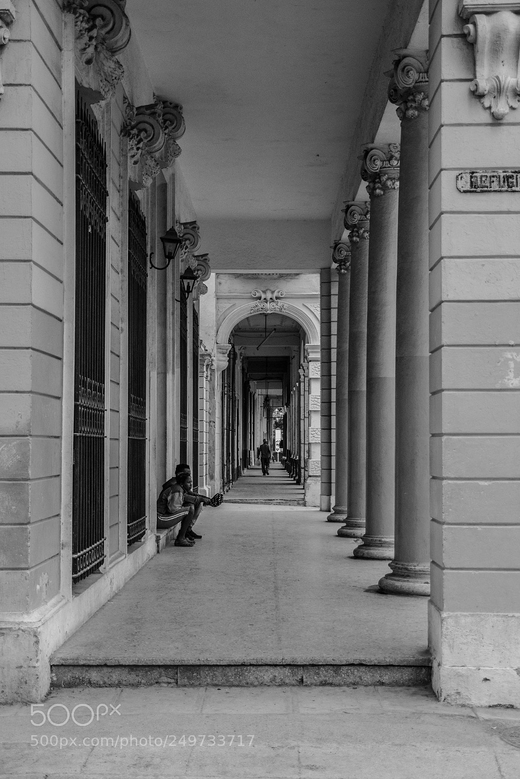 Nikon D5300 sample photo. Untitled photography