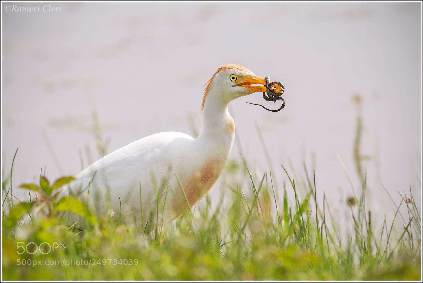 Canon EOS 7D sample photo. Capture photography