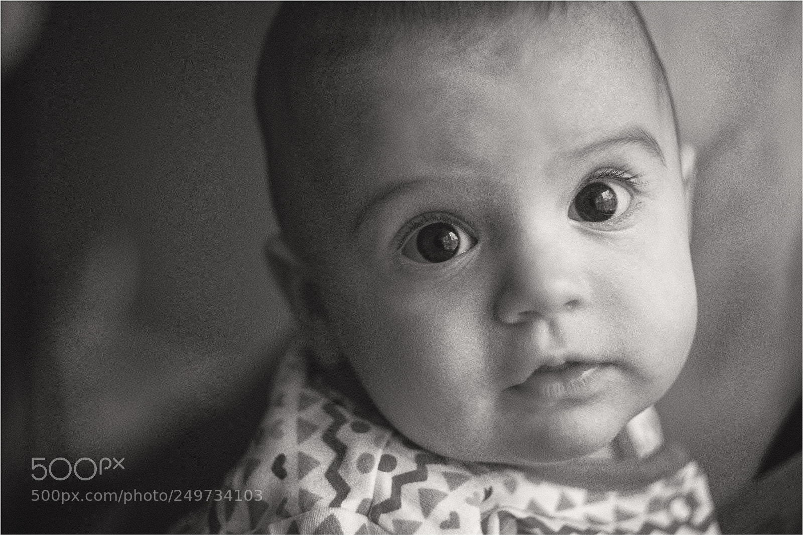 Fujifilm X-T20 sample photo. Flóra photography