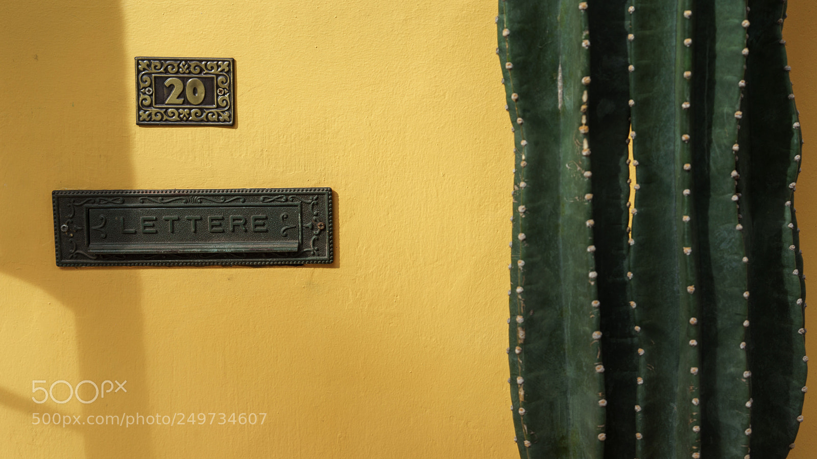 Sony a7R sample photo. Dsc photography