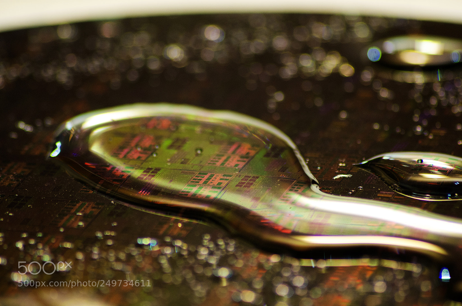 Nikon D5100 sample photo. Untitled photography