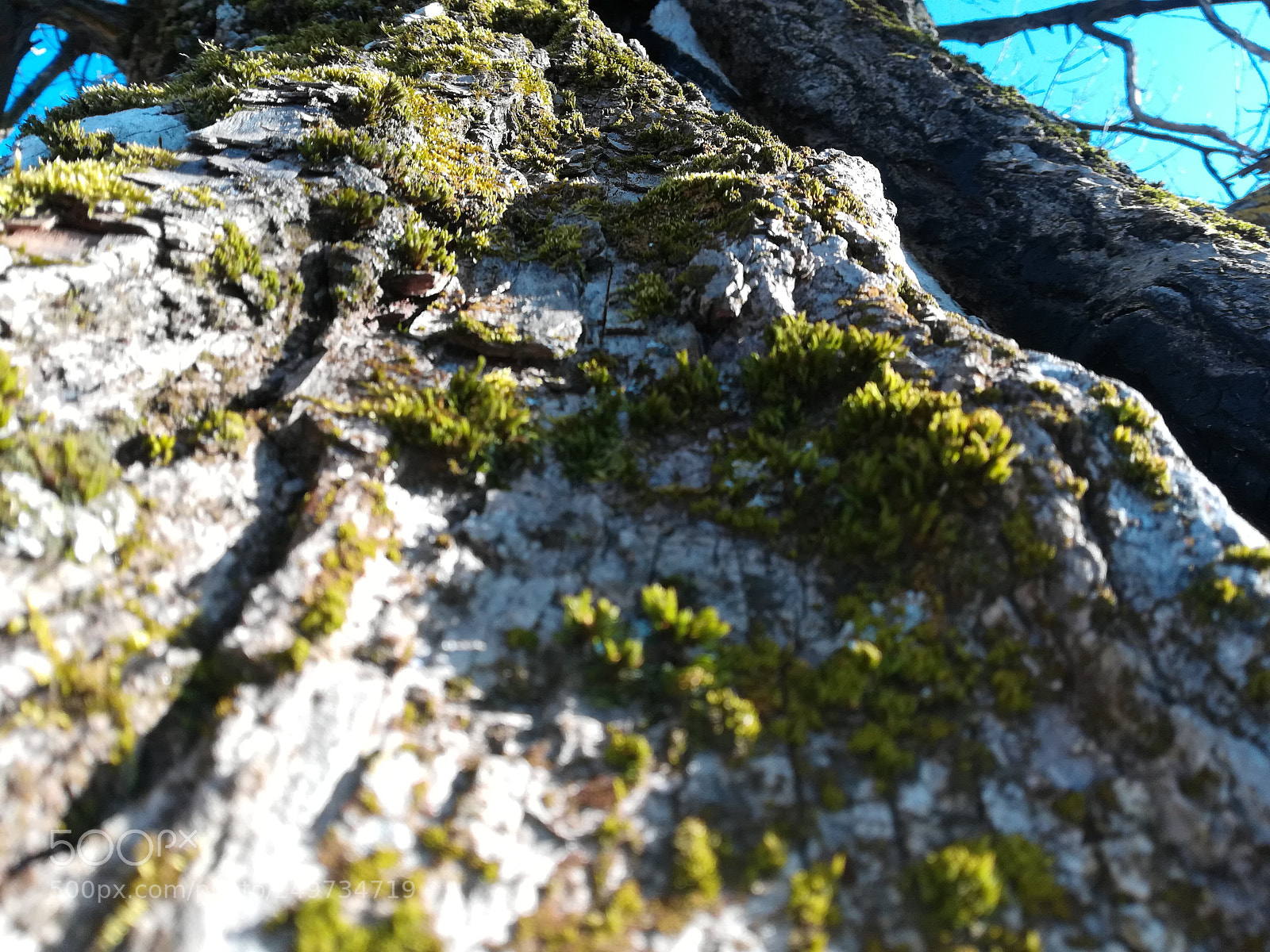 HUAWEI P10 lite sample photo. Untitled photography