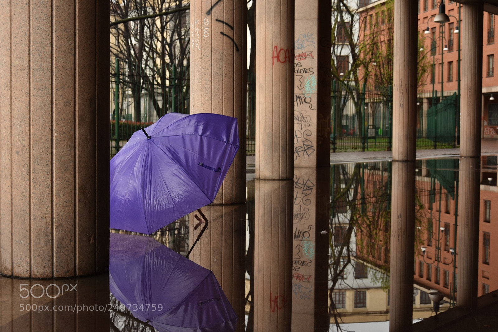 Nikon D7200 sample photo. Untitled photography