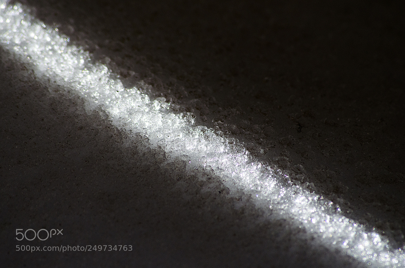 Nikon D5100 sample photo. Untitled photography