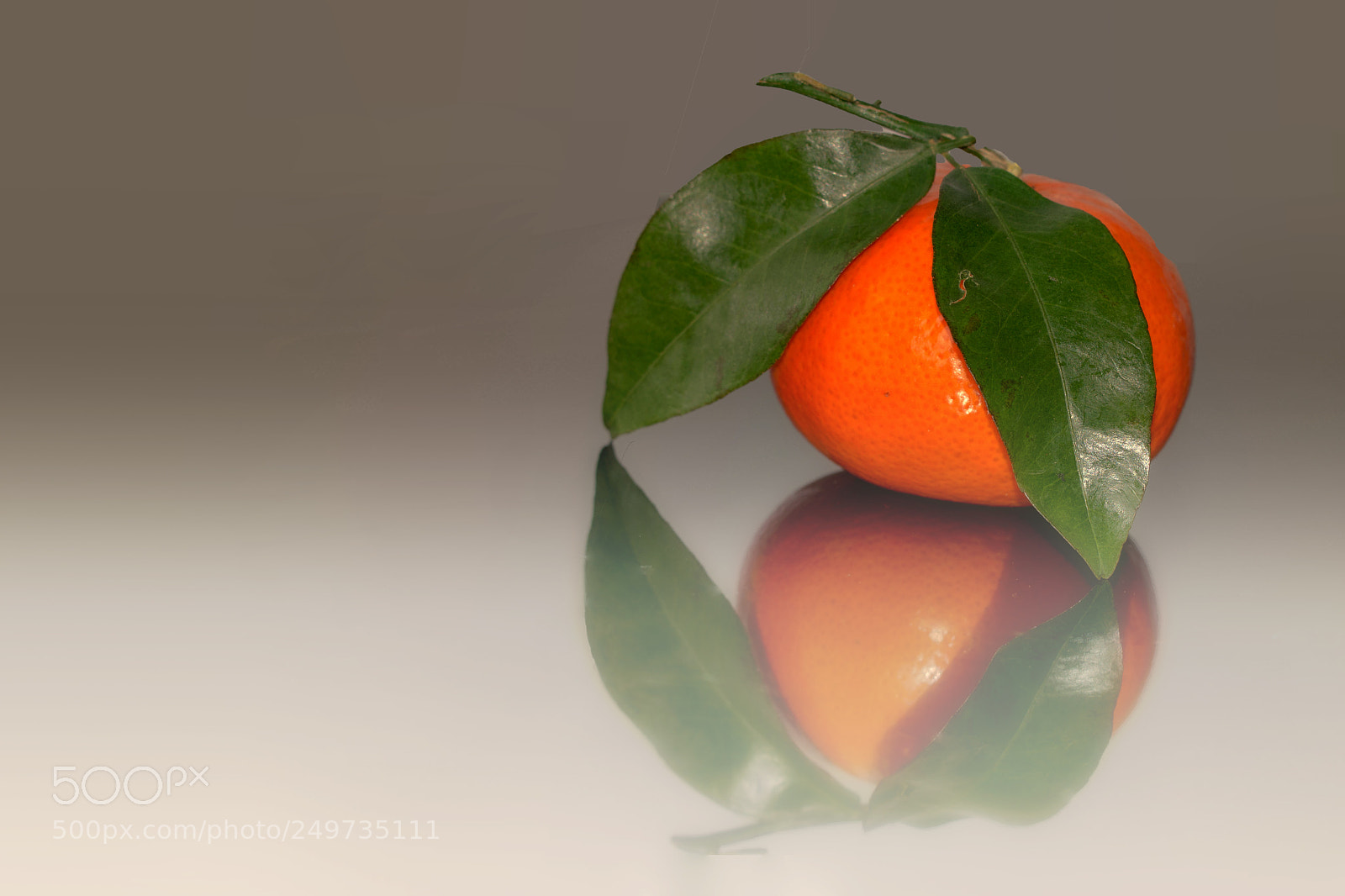 Nikon D7200 sample photo. Mandarijn tangerine photography
