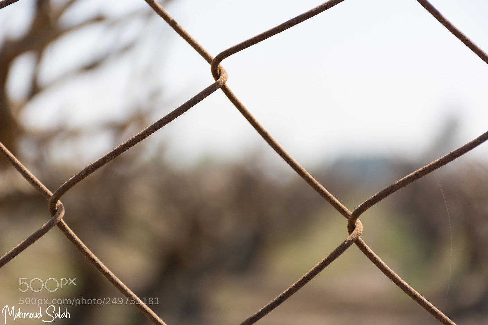 Nikon D7100 sample photo. The barrier photography