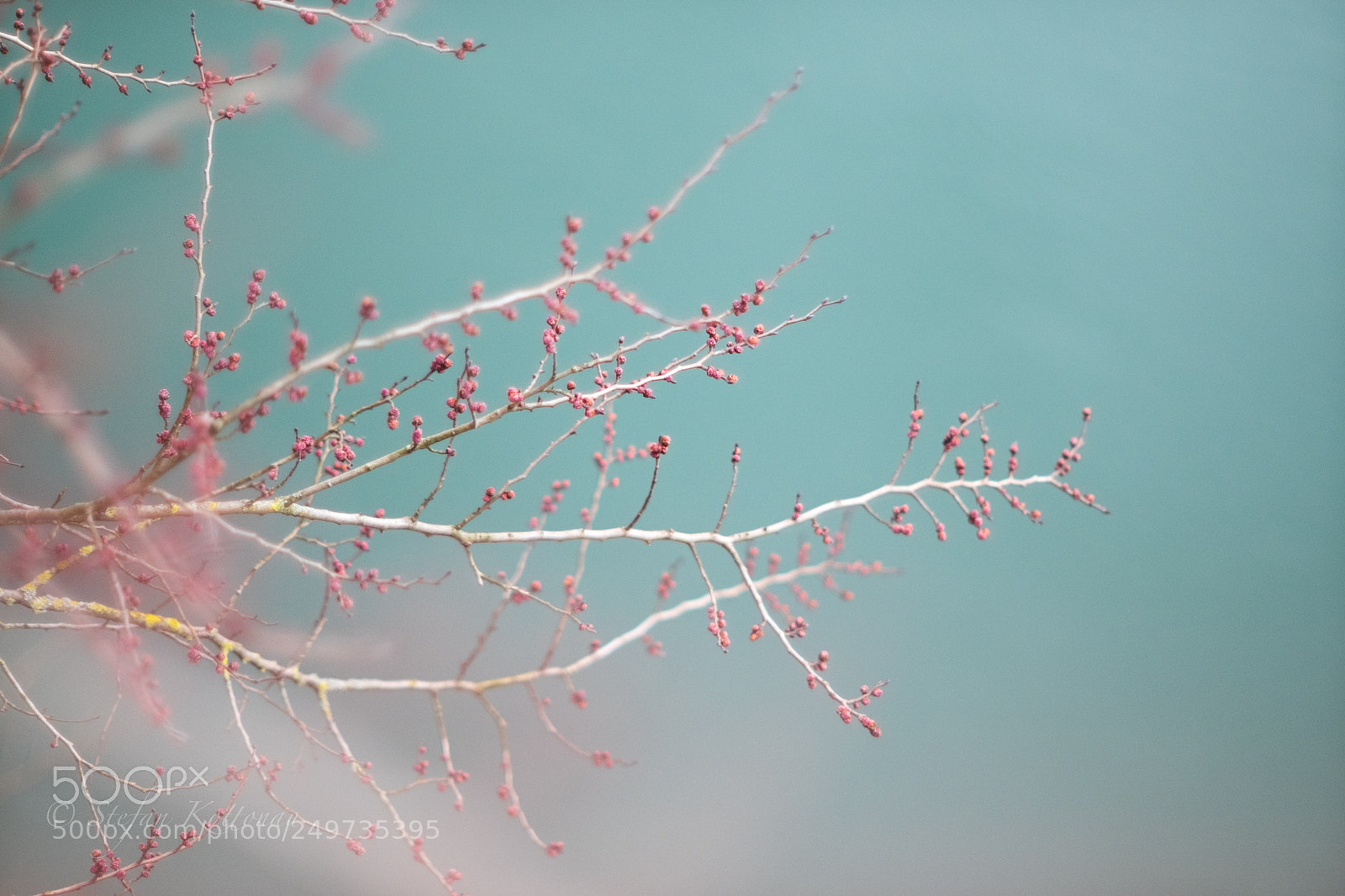 Fujifilm X-E2 sample photo. Water and colors photography