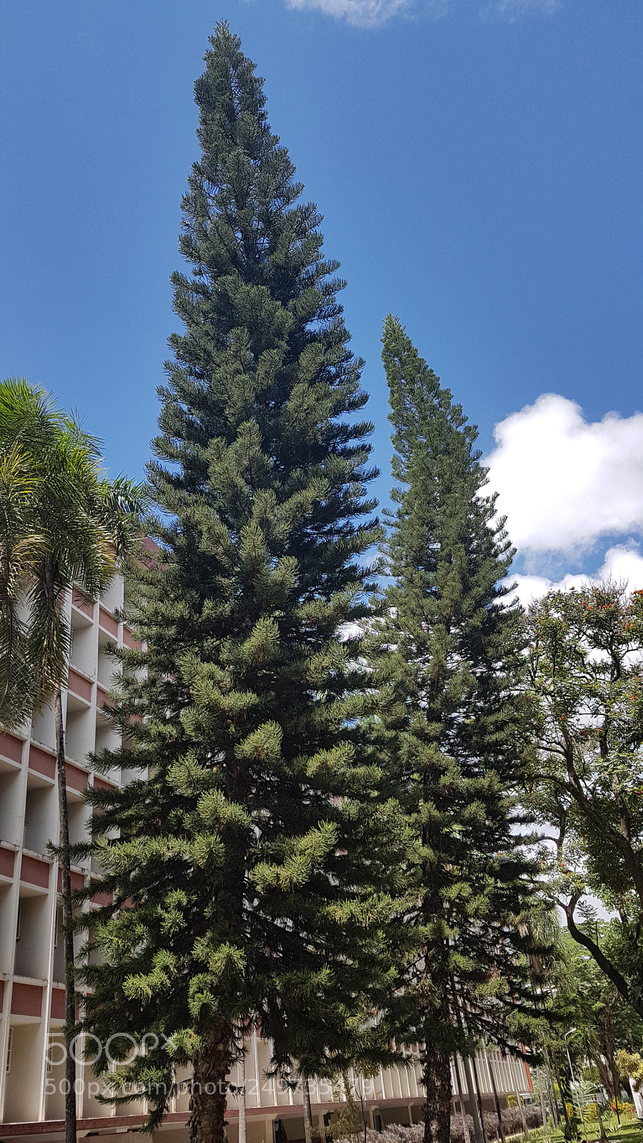 Samsung Galaxy S7 Edge sample photo. Brasília sky photography