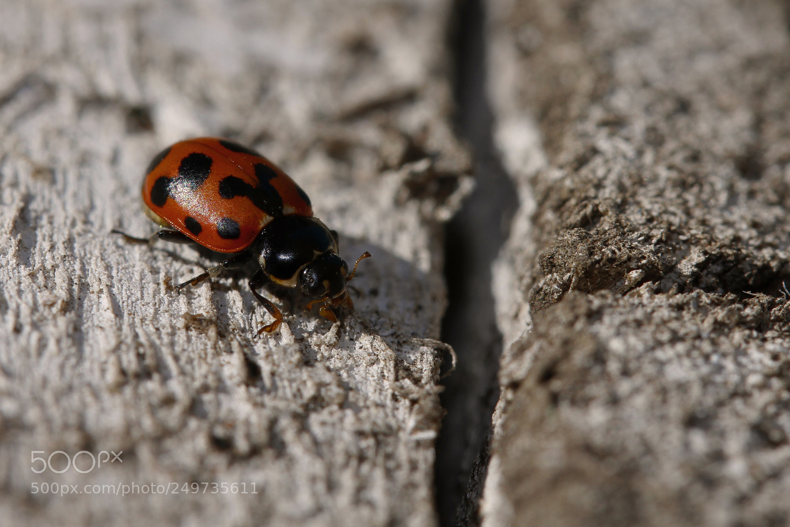 Canon EOS 7D sample photo. Exploration mg photography