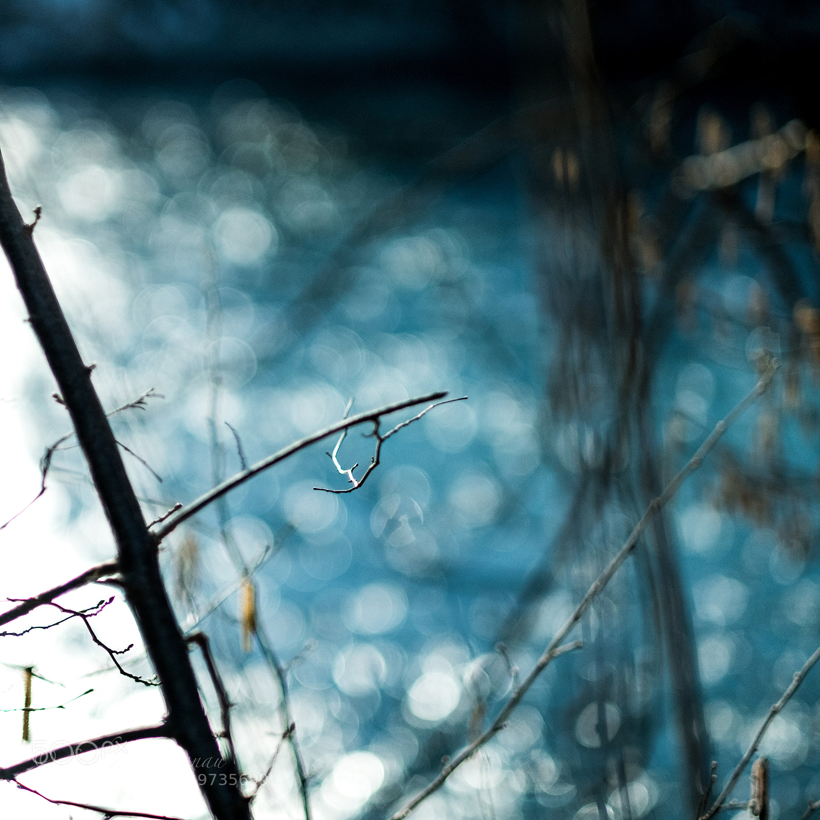 Fujifilm X-Pro2 sample photo. Blue bokeh photography