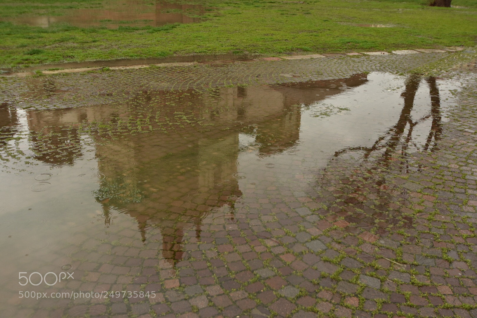 Nikon D7200 sample photo. Riflesso photography