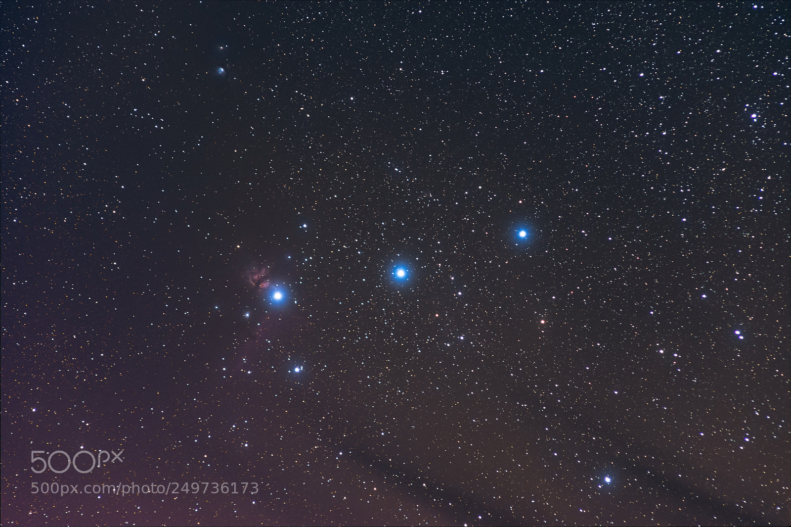 Nikon D5500 sample photo. Bold orion photography
