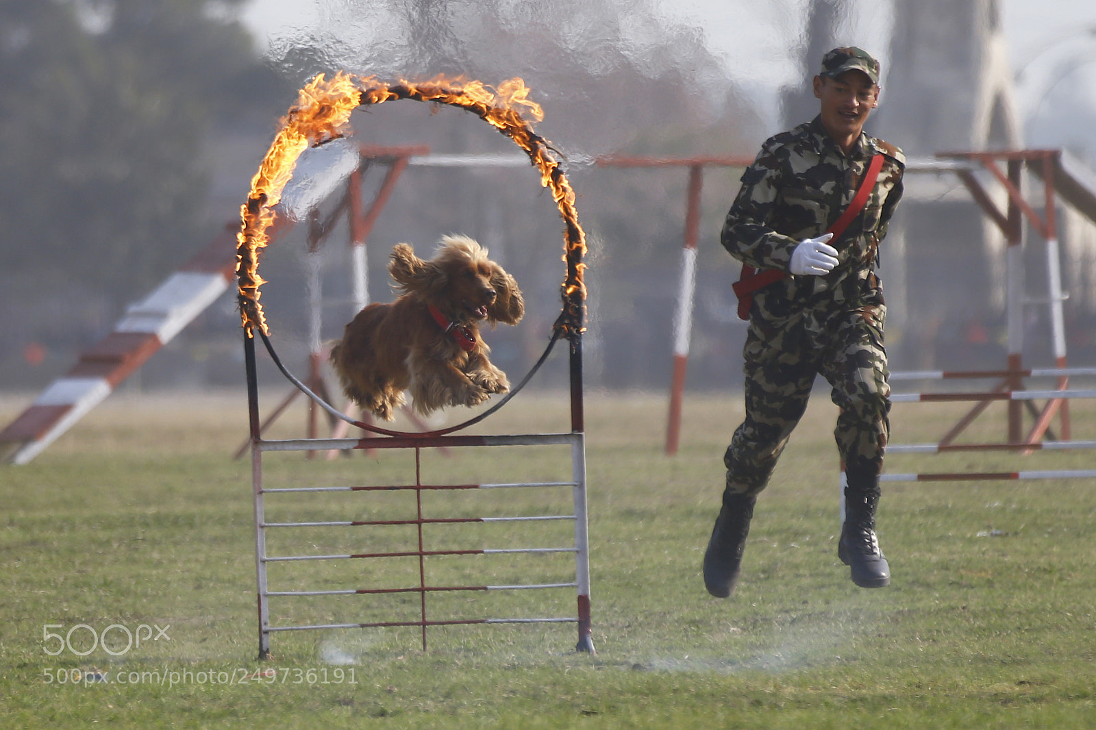 Canon EOS-1D X sample photo. Ghode jatra festival in photography