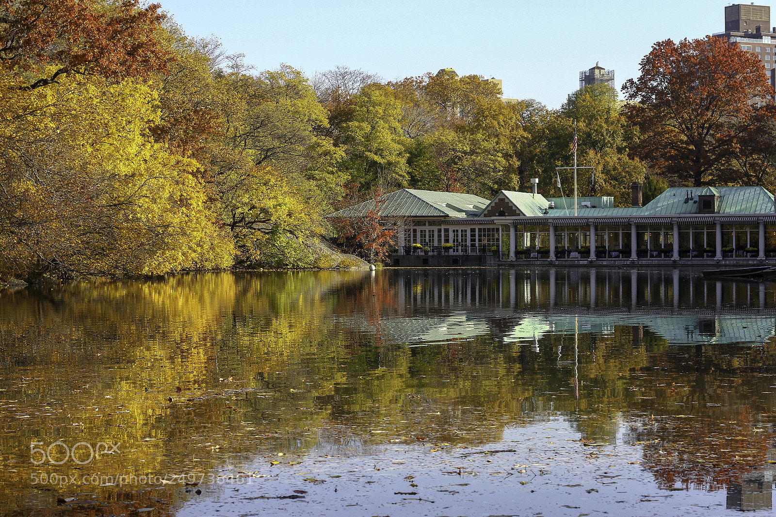 Canon EOS 7D sample photo. Autumn in central park photography