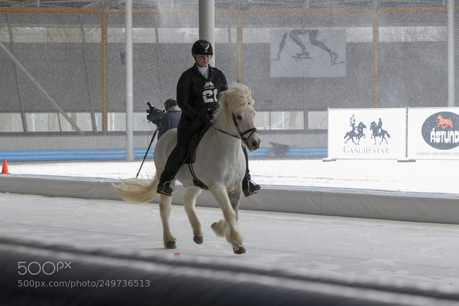 Canon EOS 7D Mark II sample photo. Icelandic horse race photography