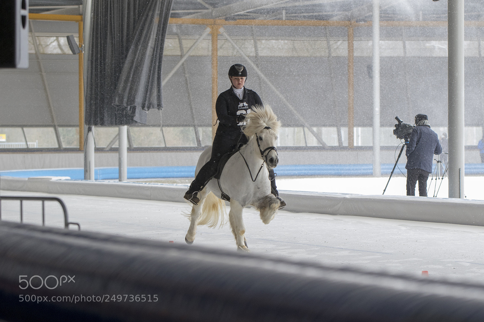 Canon EOS 7D Mark II sample photo. Icelandic horse race photography