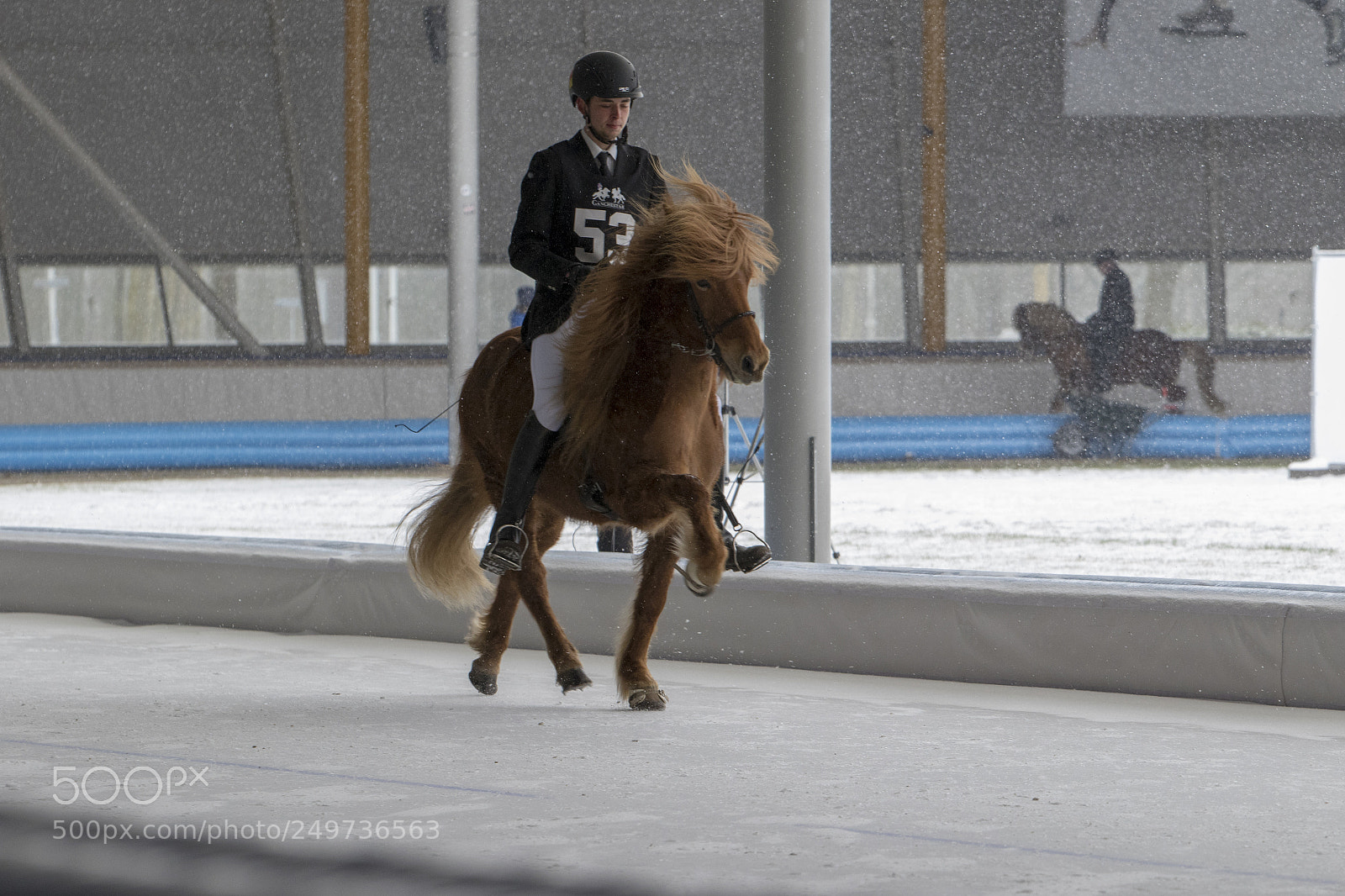 Canon EOS 7D Mark II sample photo. Icelandic horse race photography