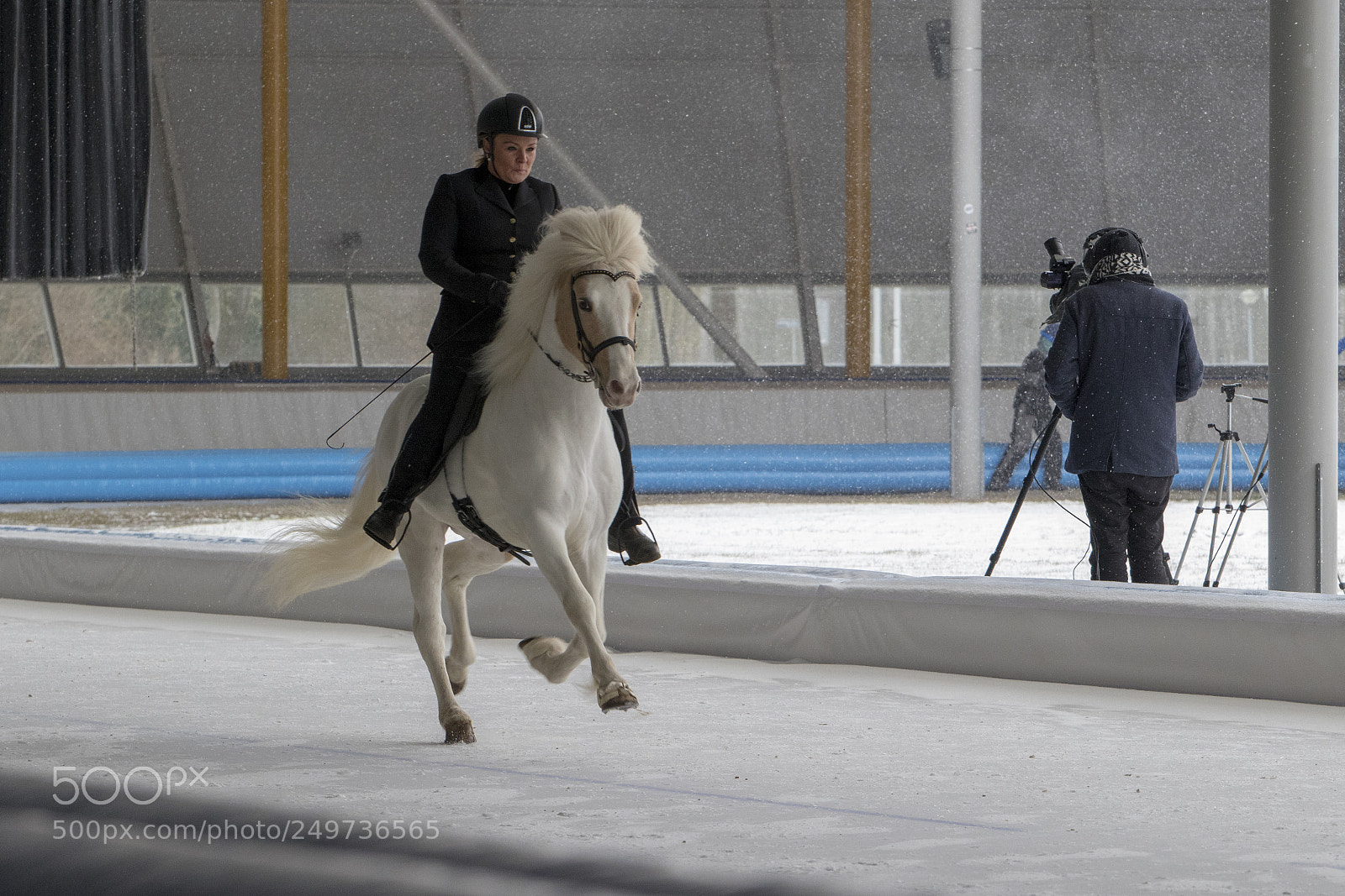 Canon EOS 7D Mark II sample photo. Icelandic horse race photography