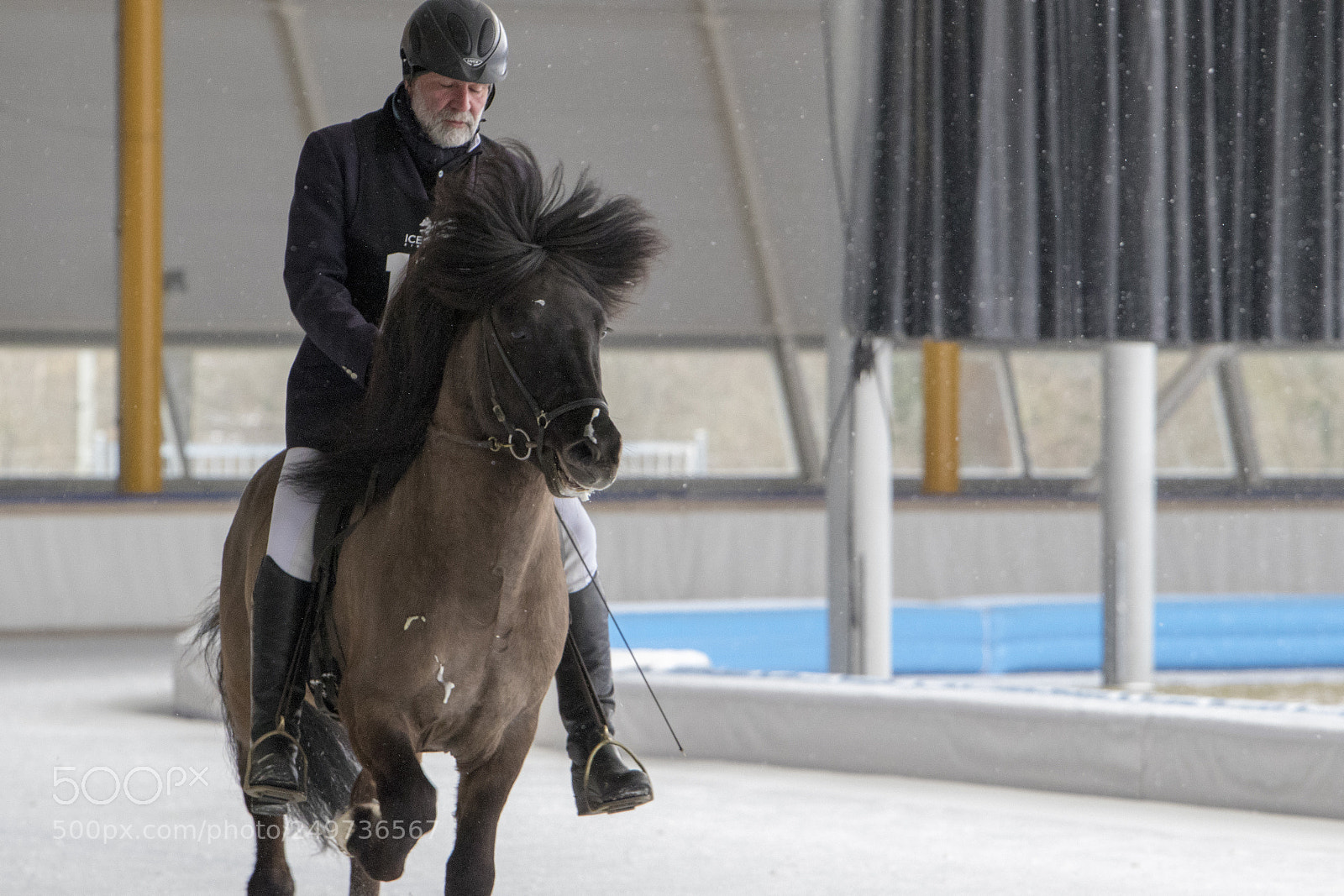 Canon EOS 7D Mark II sample photo. Icelandic horse race photography