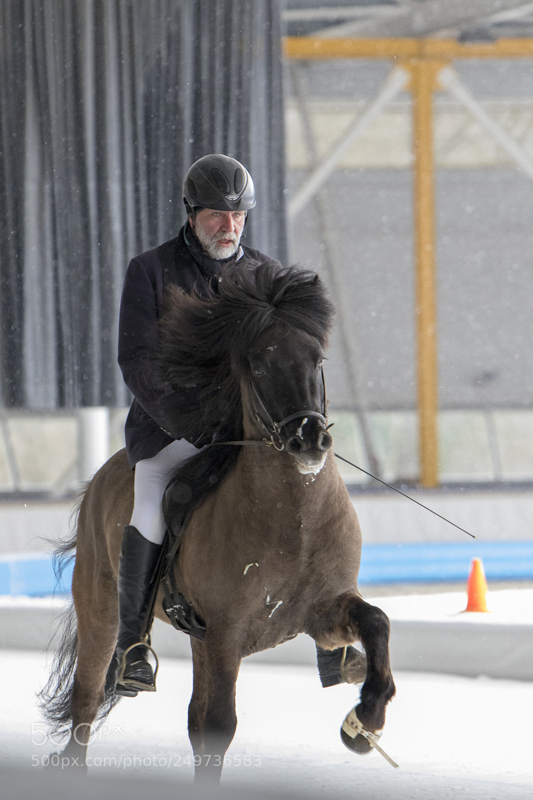 Canon EOS 7D Mark II sample photo. Icelandic horse race photography