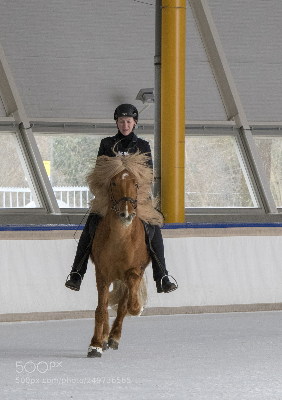 Canon EOS 7D Mark II sample photo. Icelandic horse race photography