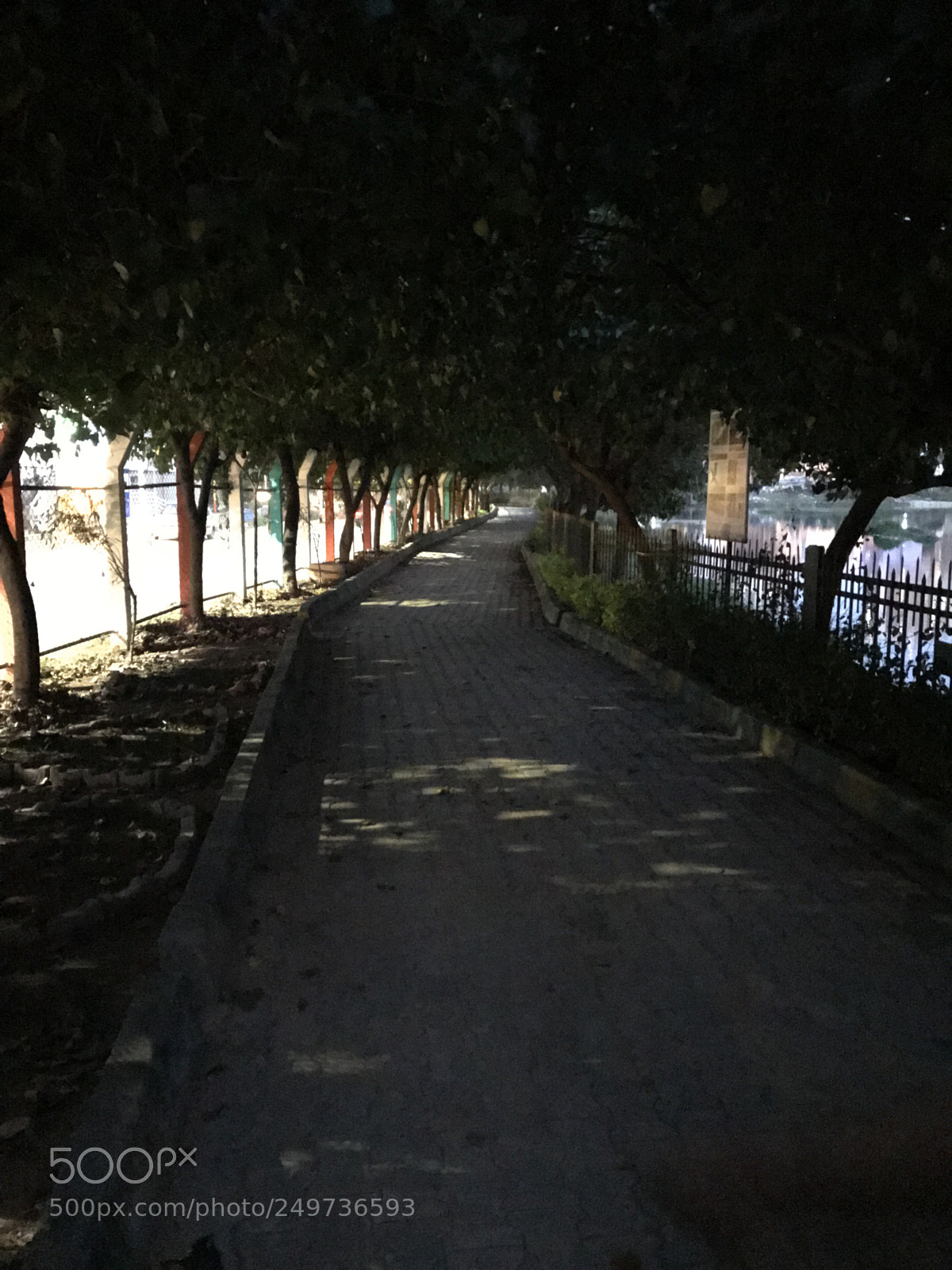 Apple iPhone 7 sample photo. Park walk photography