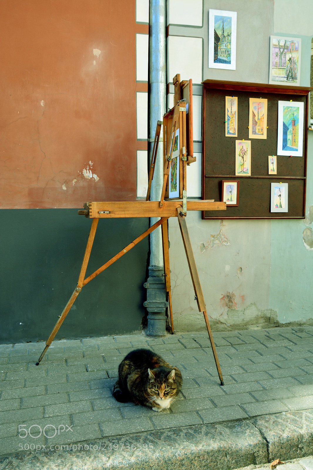 Nikon D5200 sample photo. Enjoy art.... photography