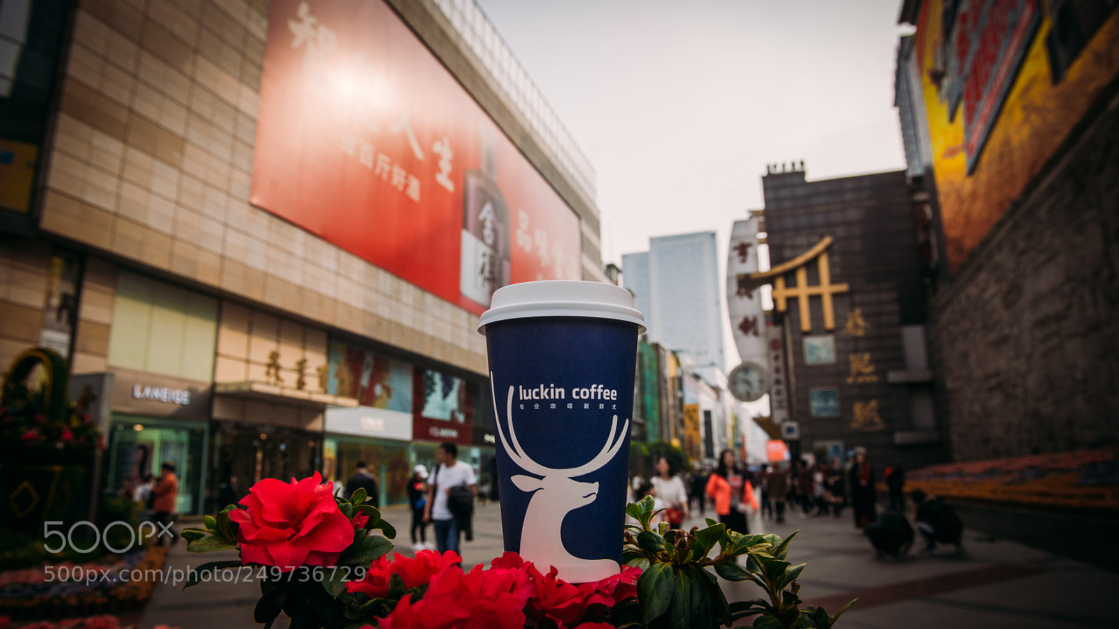 Nikon D700 sample photo. Luckin coffee photography