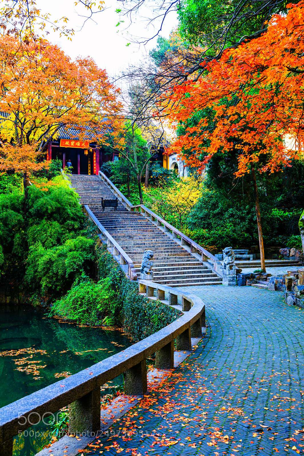 Canon EOS 5D Mark IV sample photo. Autumn of tiger hill photography