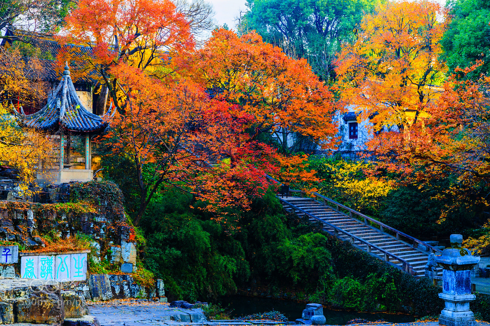 Canon EOS 5D Mark IV sample photo. Autumn of tiger hill photography