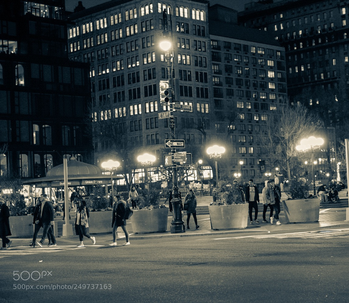 Sony a7R III sample photo. Night stroll photography