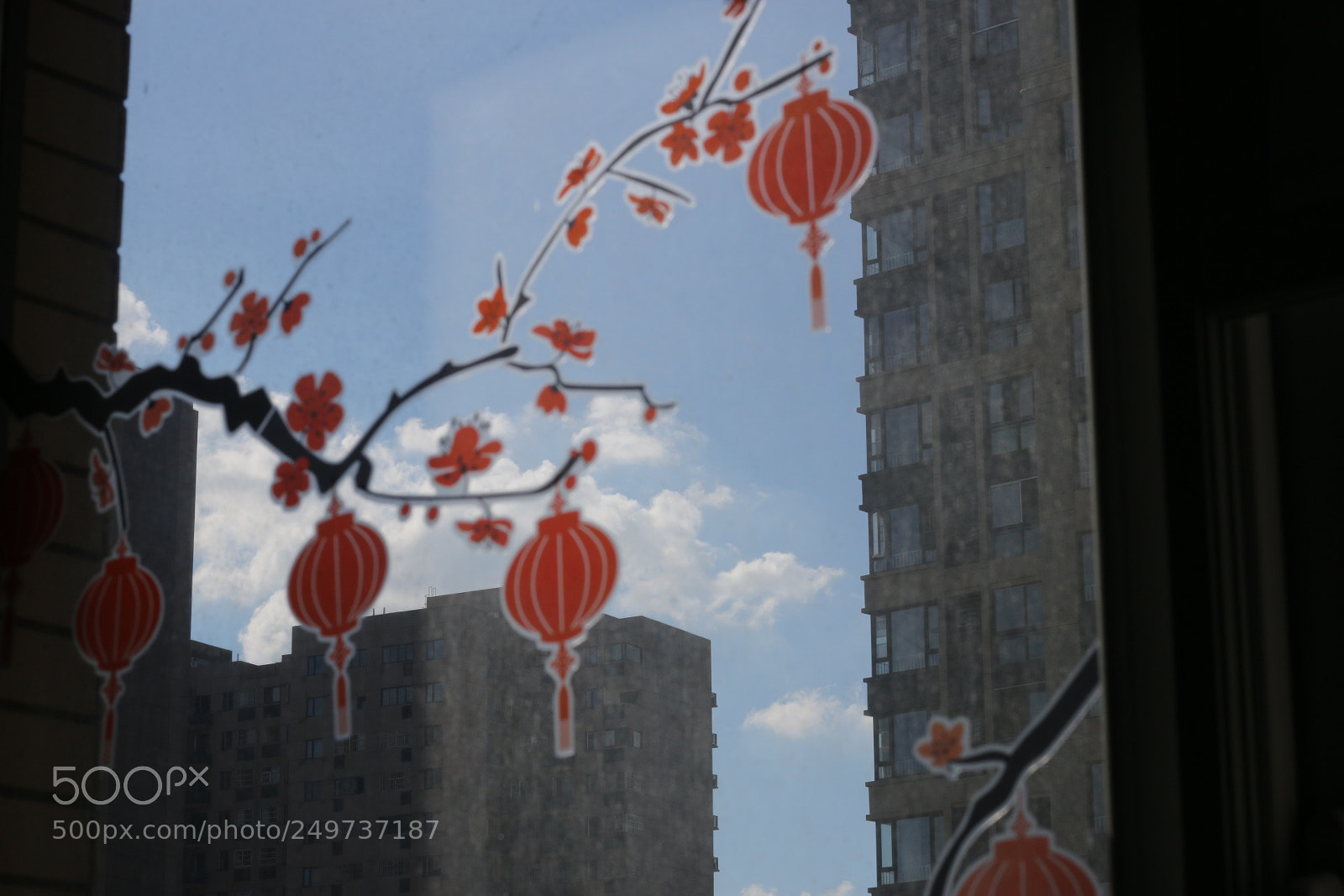 Canon EOS 70D + Canon EF 50mm F1.8 STM sample photo. Untitled photography