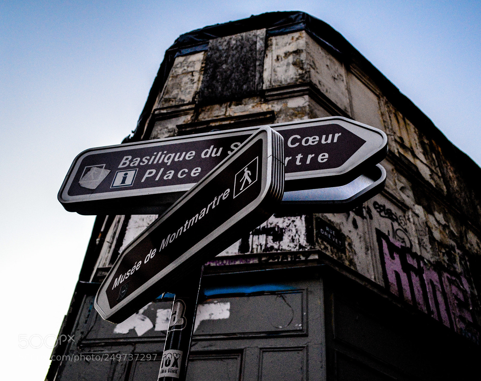 Nikon D3200 sample photo. Where to go? photography
