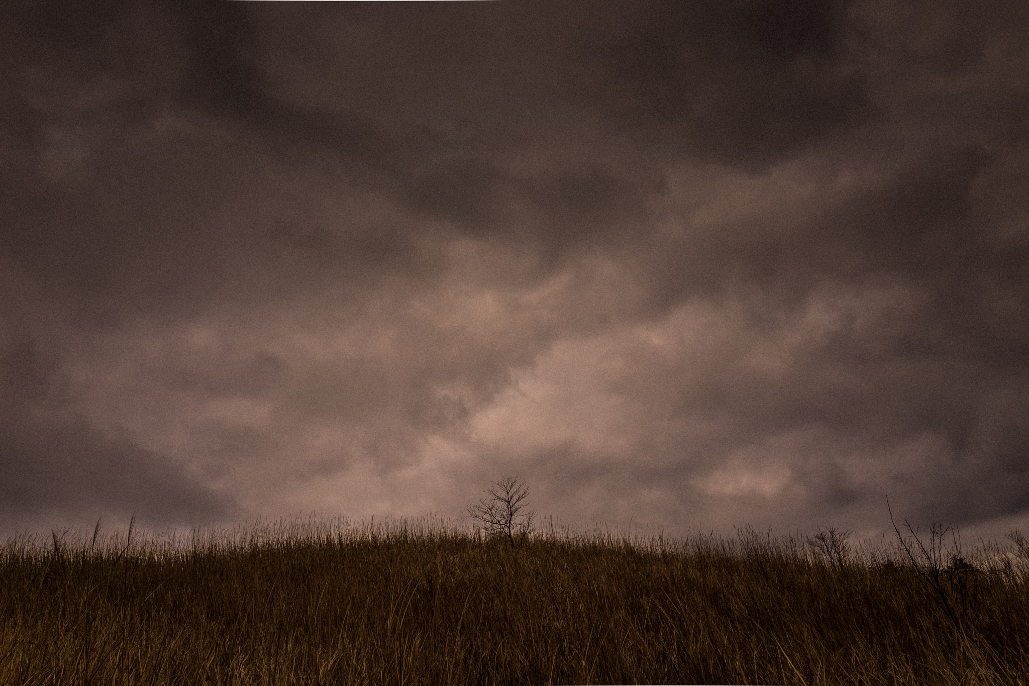Sony Cyber-shot DSC-RX1R sample photo. Stand alone in solitude photography