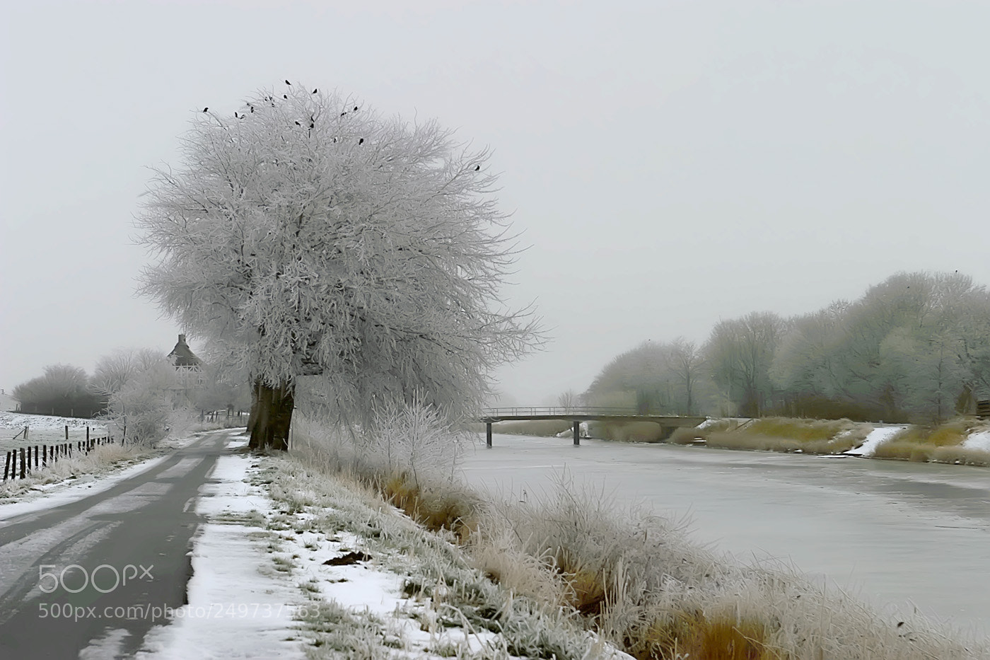 Canon EOS 10D sample photo. Winter photography