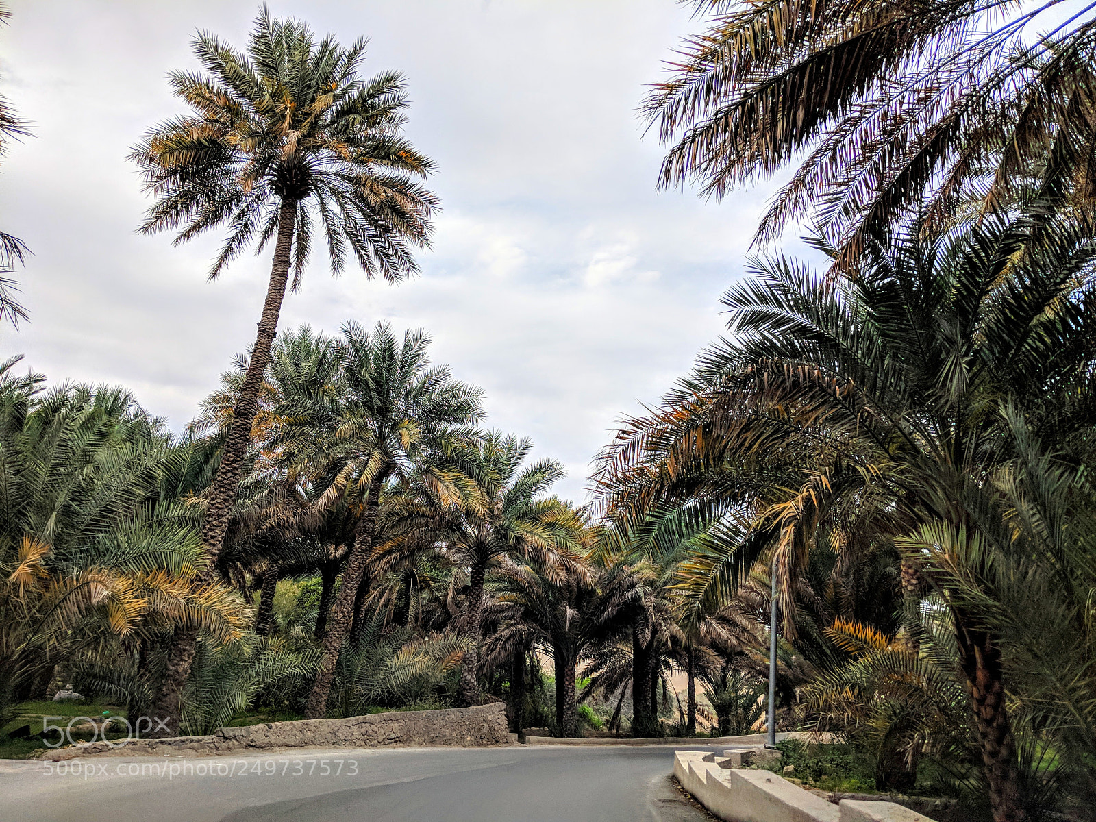 Google Pixel 2 XL sample photo. Fanja road photography