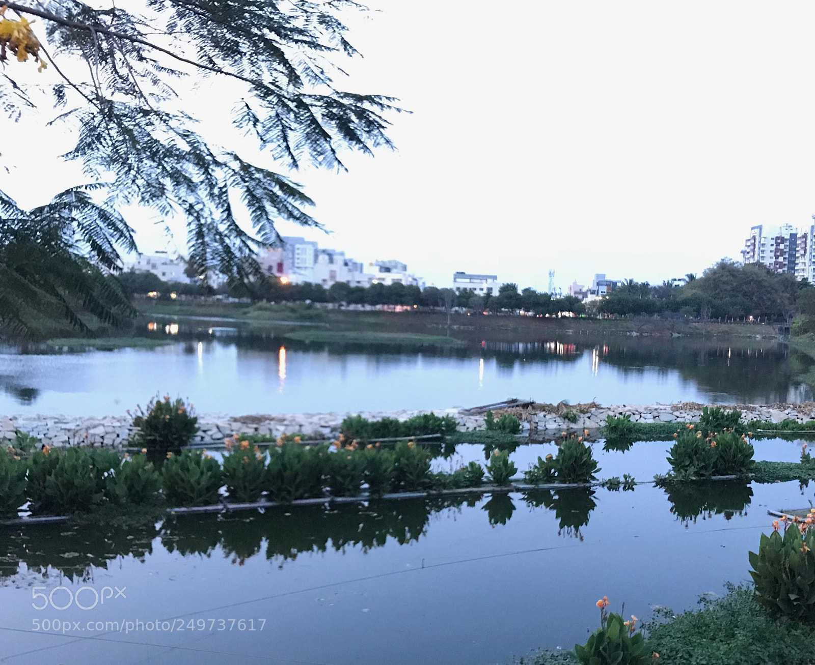 Apple iPhone 7 sample photo. Lake front photography