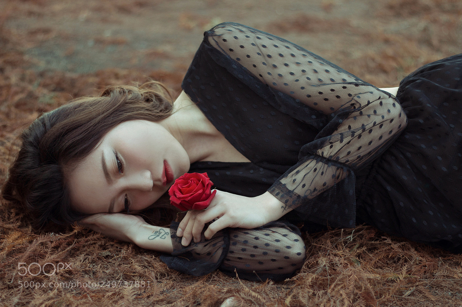 Canon EOS 70D sample photo. Rose & iris photography