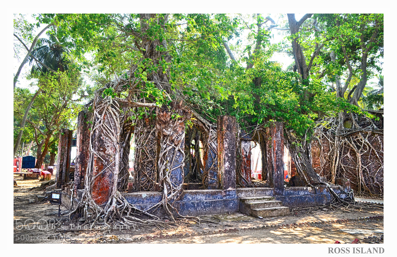 Nikon D5100 sample photo. Ross island photography