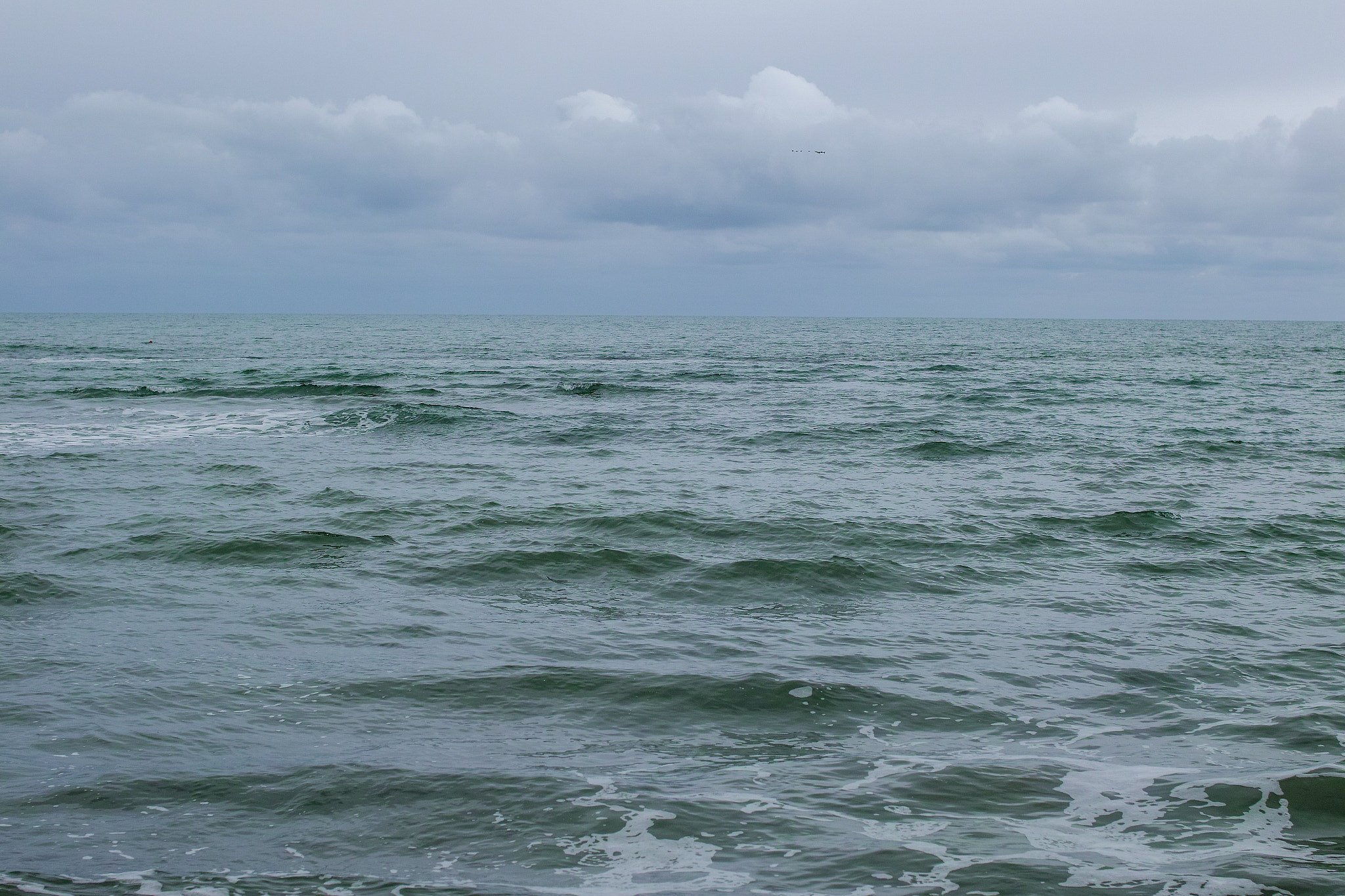 Sigma sd Quattro sample photo. Distance photography