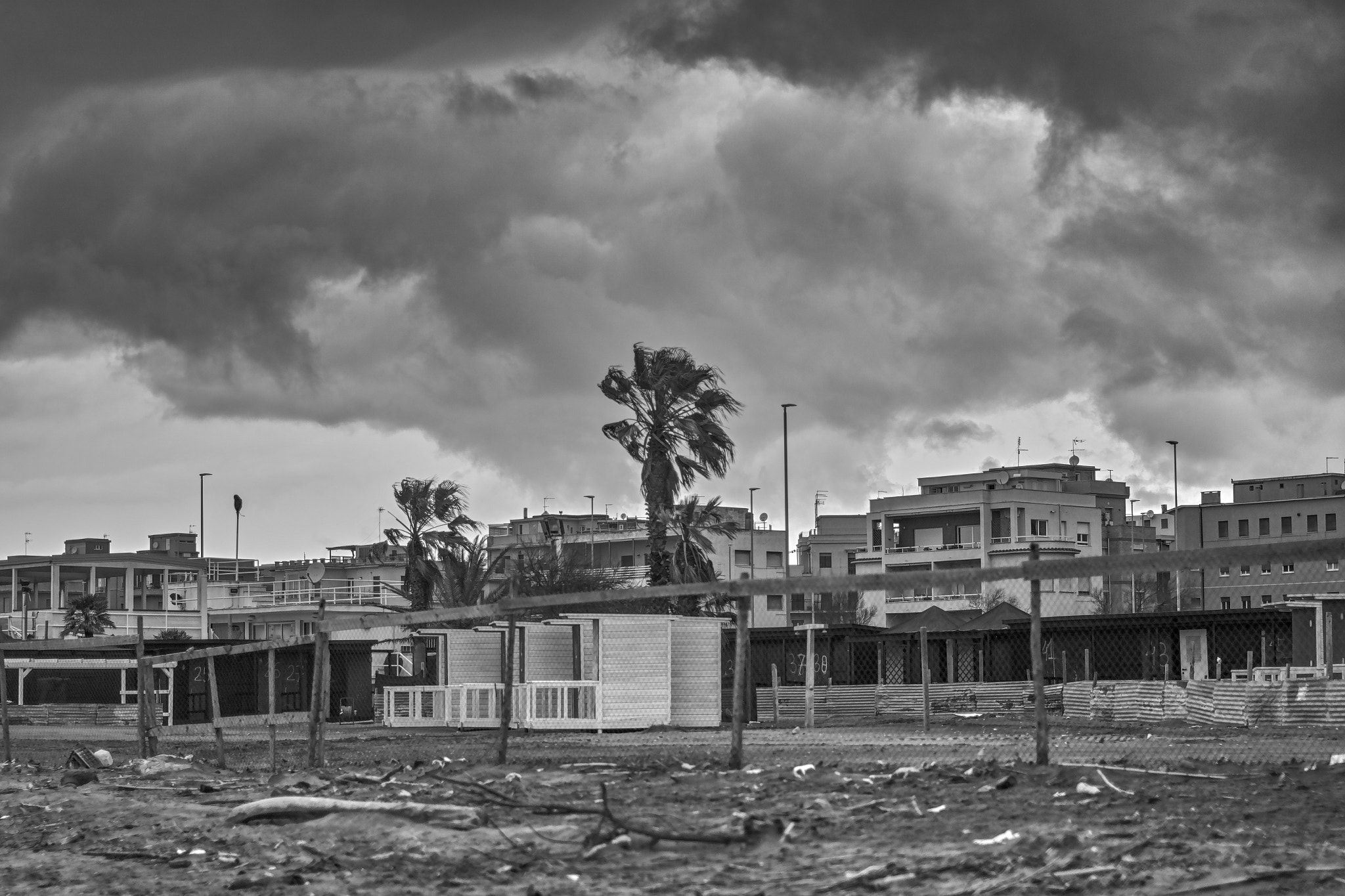 Sigma sd Quattro sample photo. Winter beachfront photography