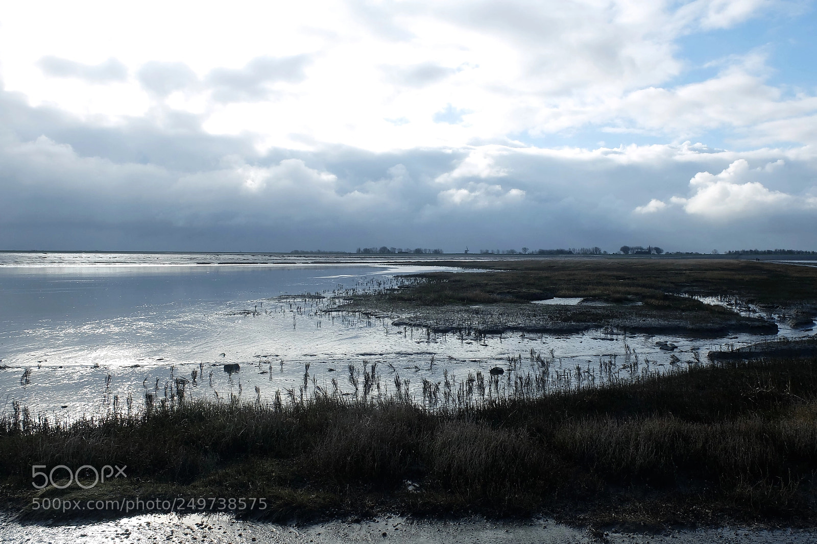 Fujifilm X20 sample photo. Wetlands photography