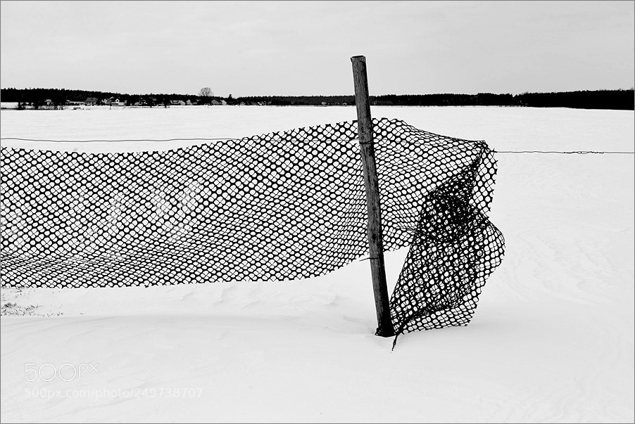 Nikon D610 sample photo. Landscape on the web photography