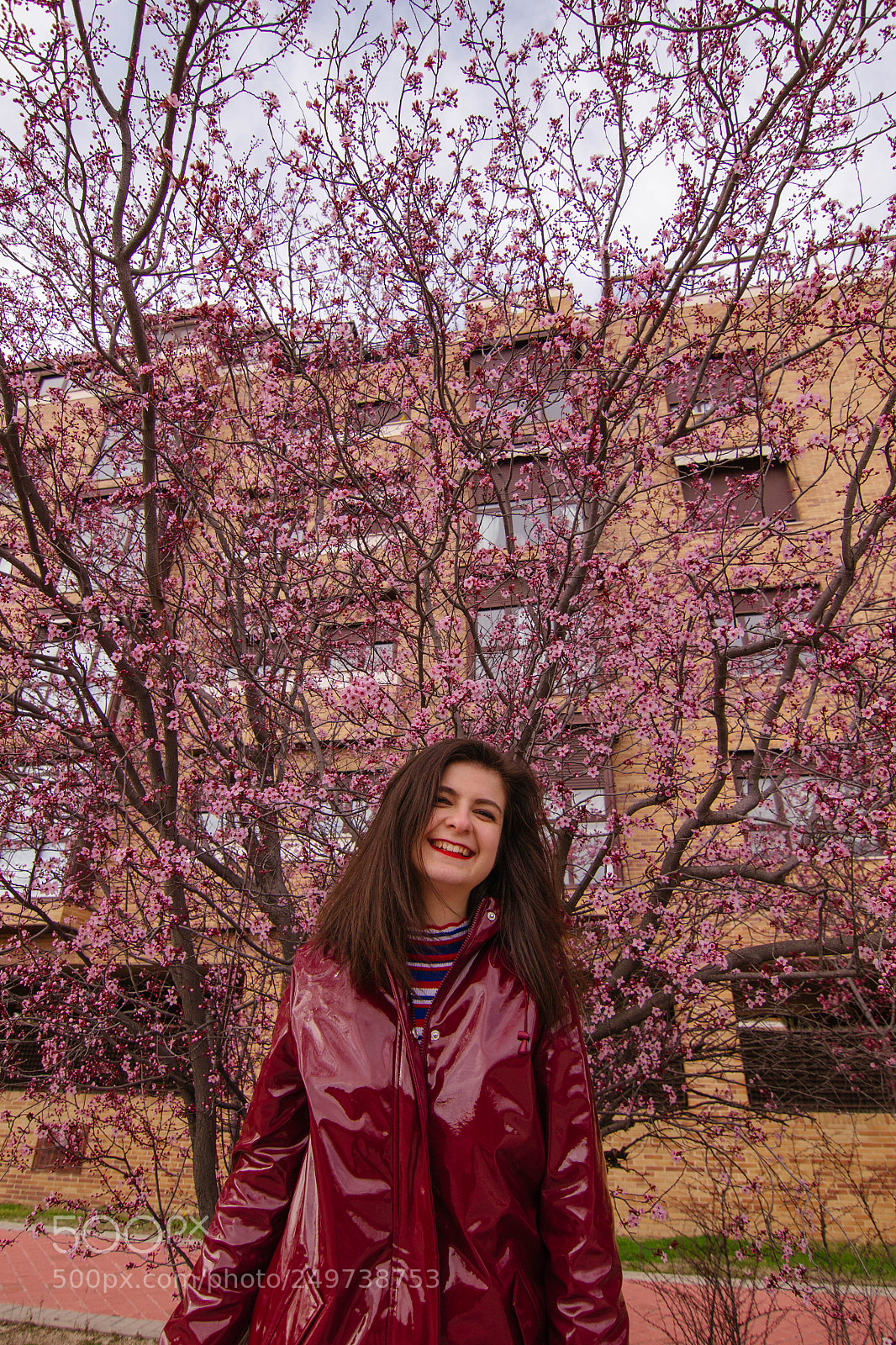 Nikon D3100 sample photo. Spring is coming photography