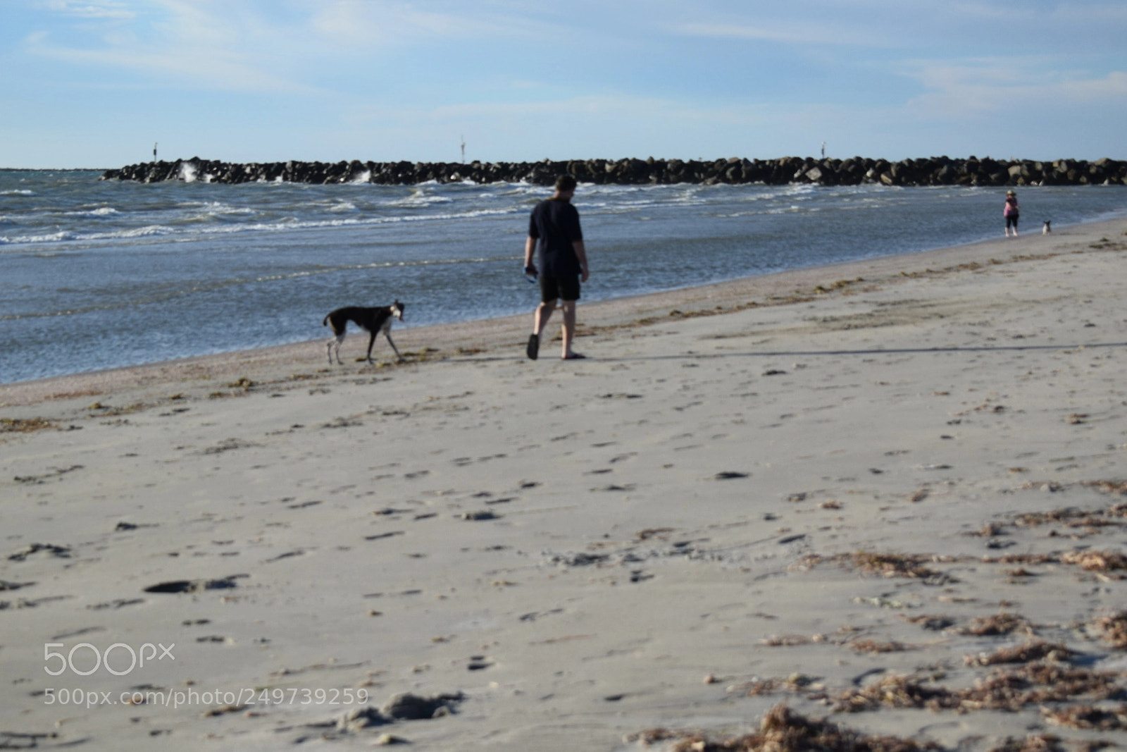 Nikon D5300 sample photo. Summer holiday photography